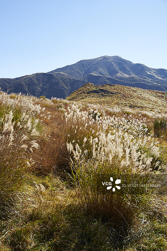 日本熊本县阿苏市草千里图片素材