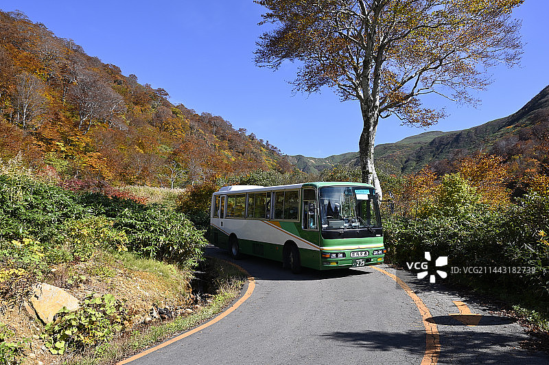 日本山形县鹤冈市汤殿山秋景图片素材