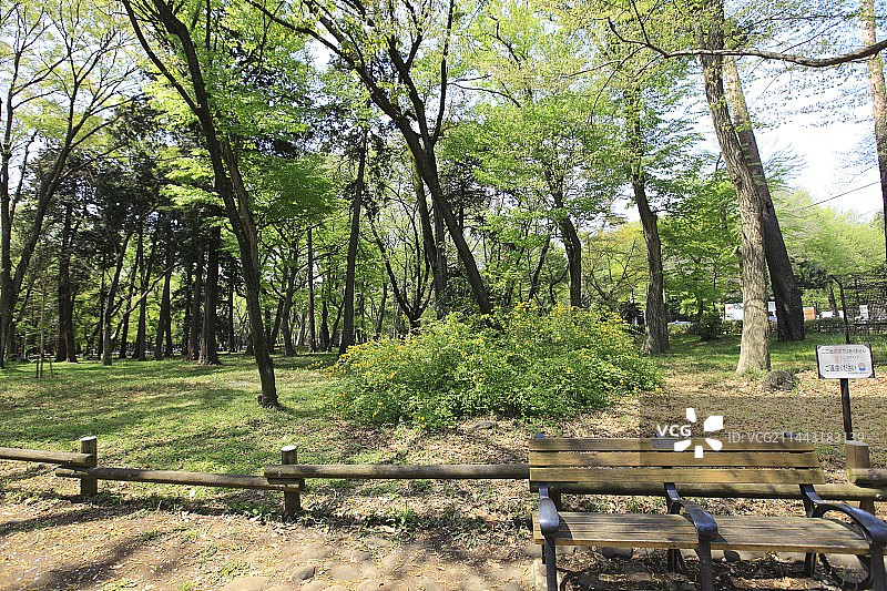 日本东京武藏野井之头公园图片素材