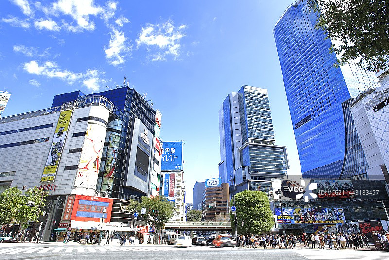 日本东京涩谷车站斑马线图片素材