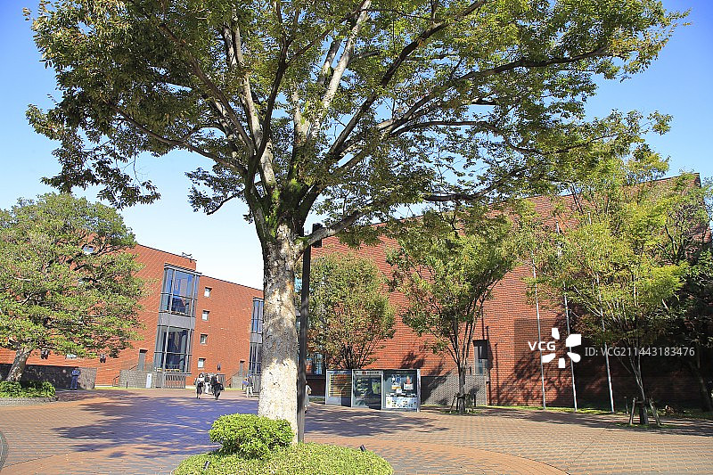 日本东京东京都美术馆图片素材