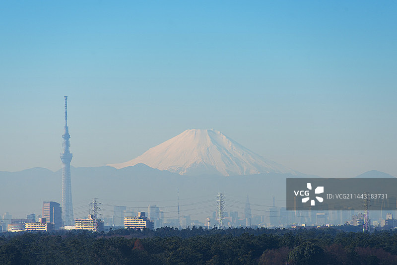 东京晴空塔与富士山，日本千叶县镰谷市图片素材