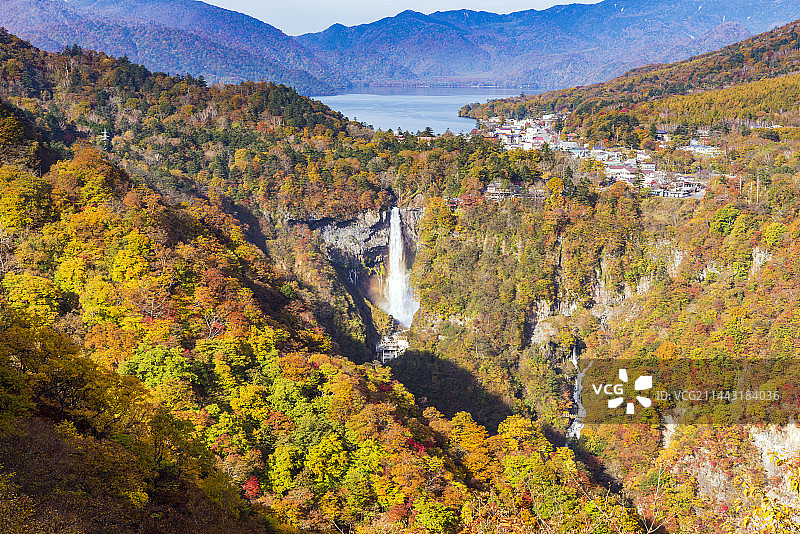 秋叶和日本栃木县日光市的华严瀑布图片素材