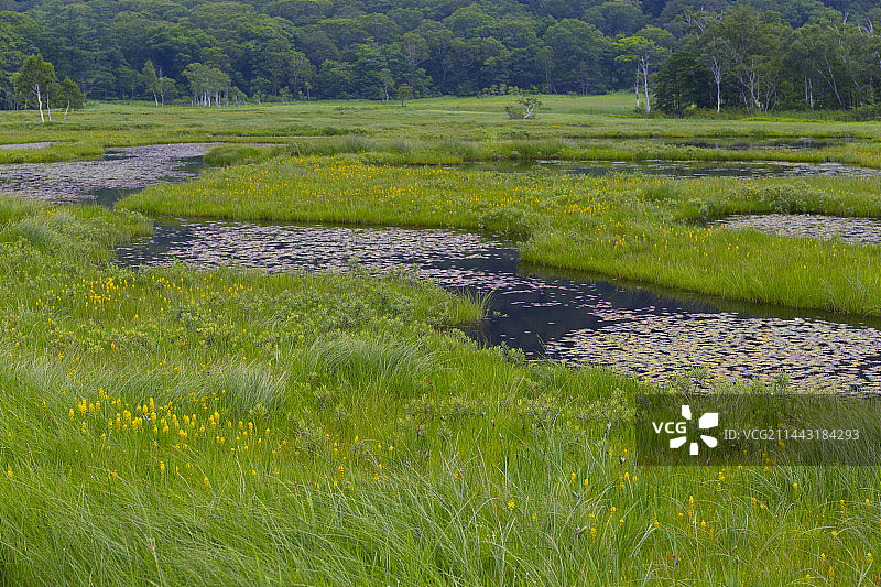 尾濑,片品,群马,利根郡,群马县风光图片素材