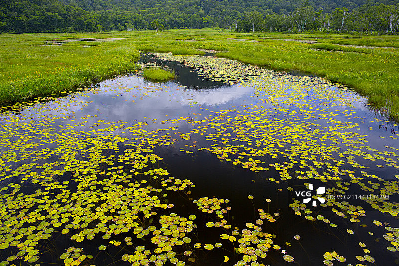 尾濑,片品,群马,利根郡,群马县风光图片素材
