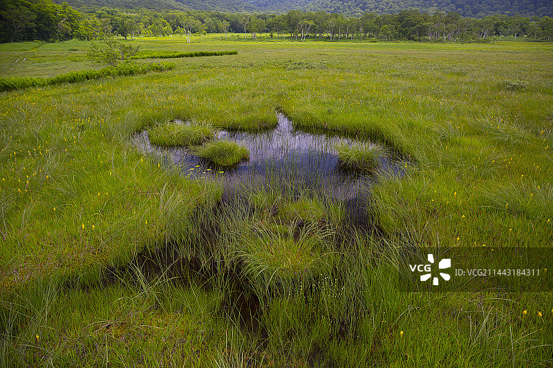 尾濑,片品,群马,利根郡,群马县风光图片素材