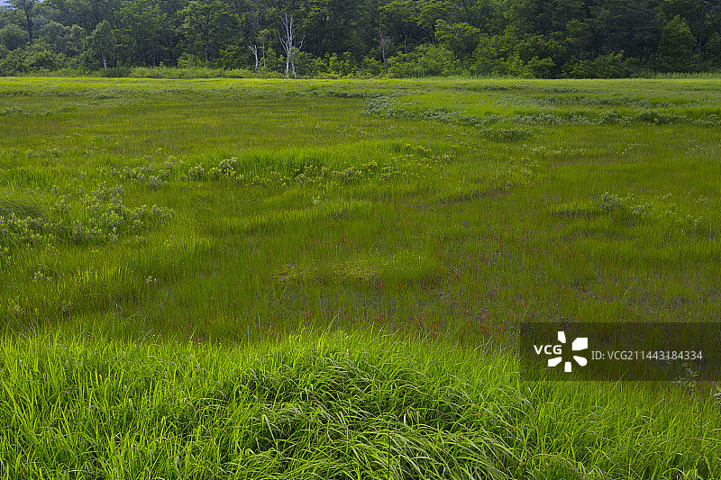 尾濑,片品,群马,利根郡,群马县风光图片素材