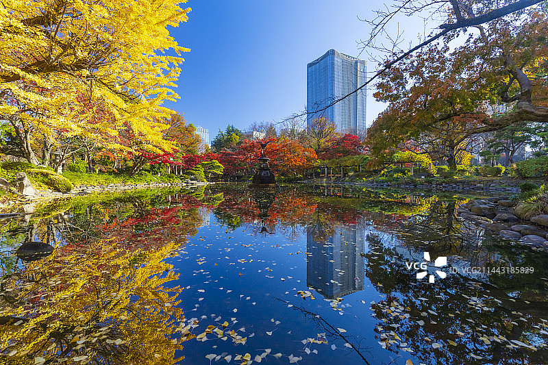 秋季的日比谷公园，日本东京千代田区图片素材