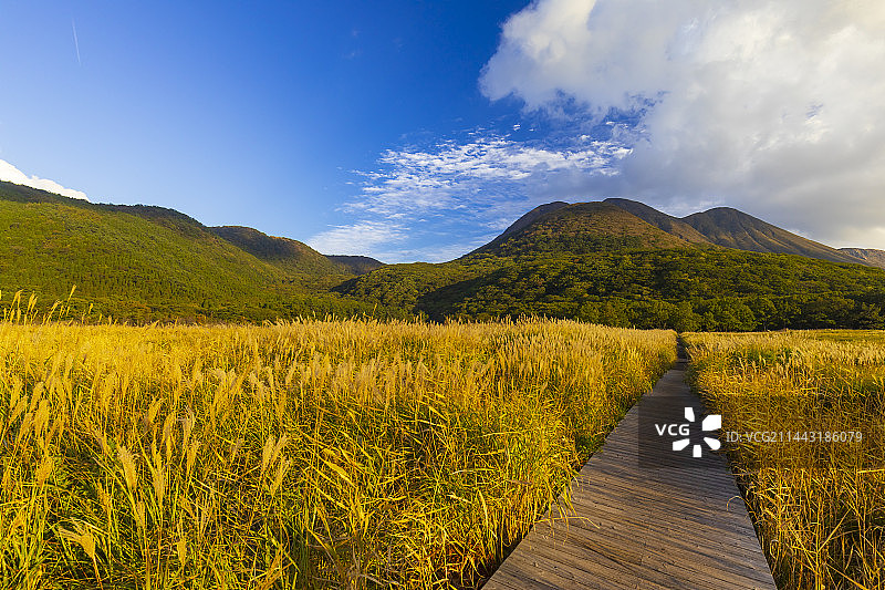 日本大分县九重町的秋季Chojagahara图片素材