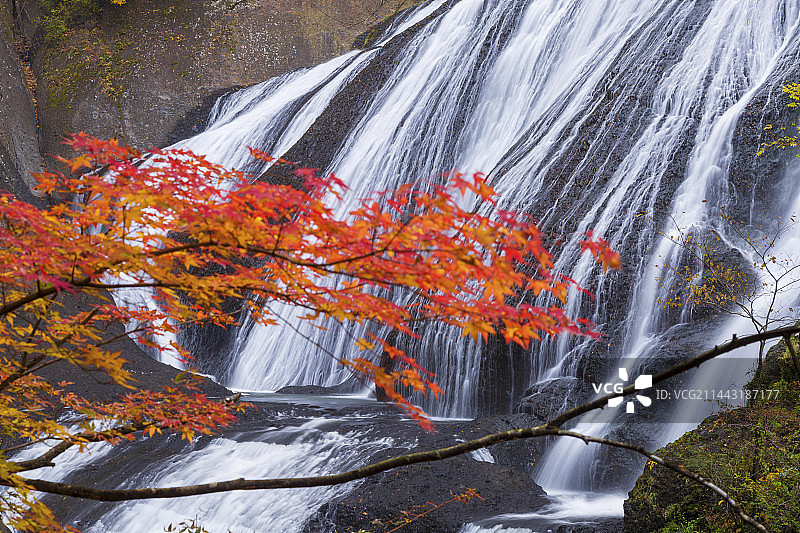 秋季的袋田瀑布，日本茨城县大子町图片素材