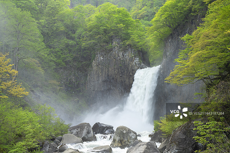 日本东京的新鲜绿色苗名瀑布图片素材