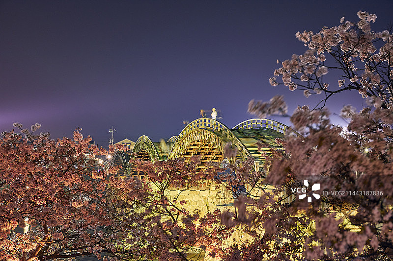 日本山口县岩国市锦带桥夜樱图片素材