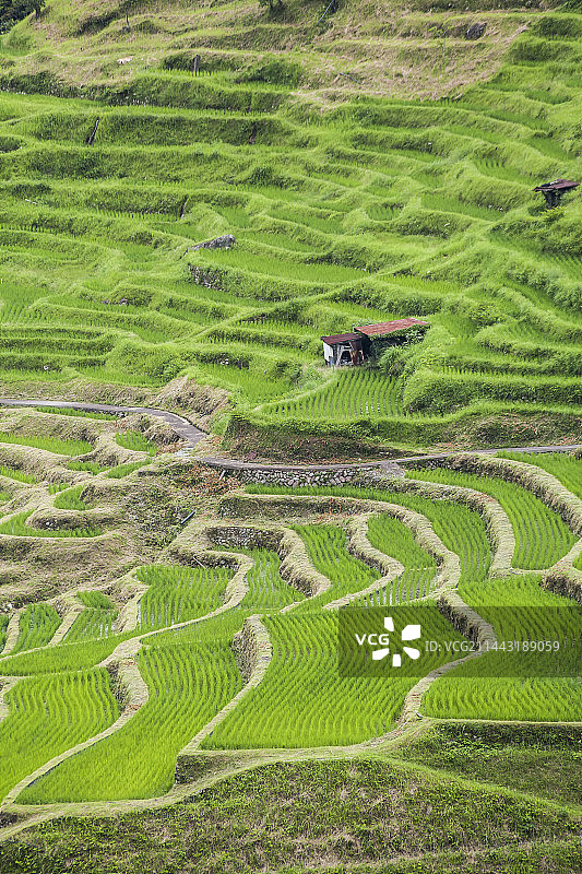 日本三重县熊野市丸山梯田图片素材