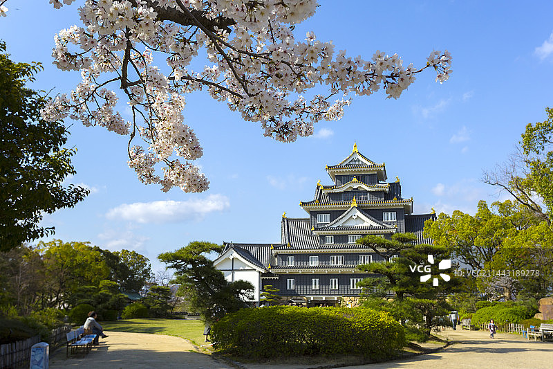 日本冈山城樱花，冈山县冈山市图片素材