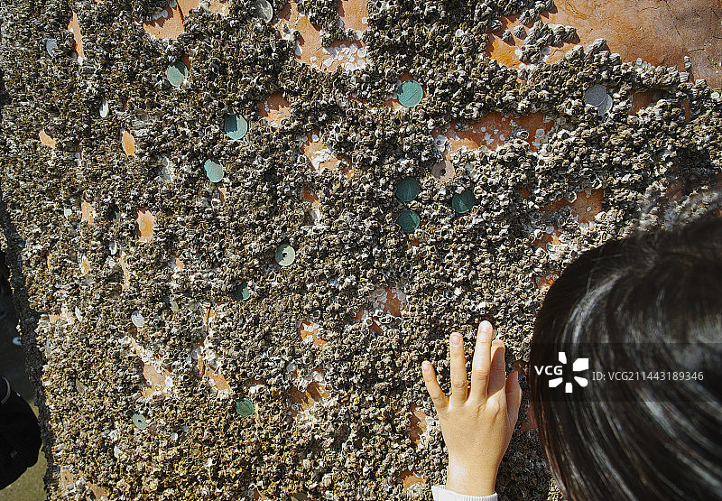 日本广岛县严岛神社图片素材