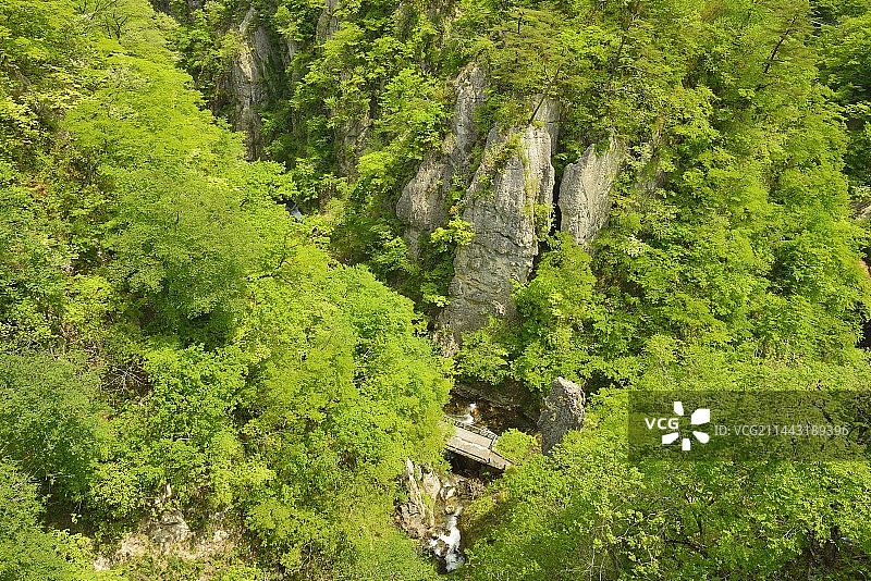 日本宫城县大崎市鸣子峡新绿图片素材