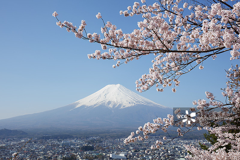 日本山梨县富士吉田市的樱花和富士山图片素材