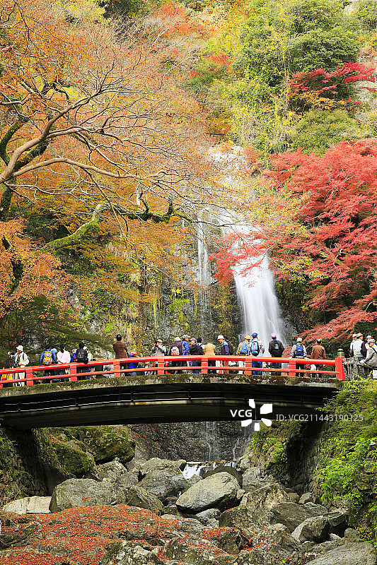 秋叶中的箕面大瀑布，日本大阪图片素材