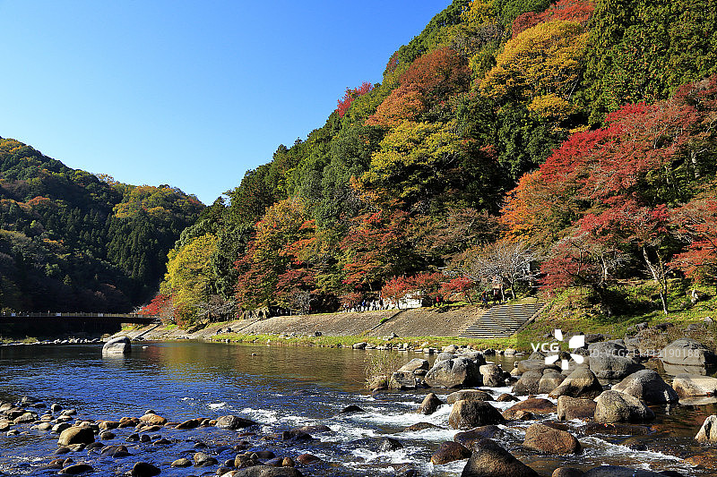 日本爱知县丰田市香岚溪峡谷秋叶图片素材