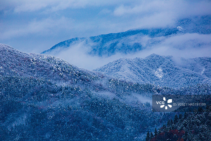 冬季余吴湖，日本滋贺县长滨市图片素材