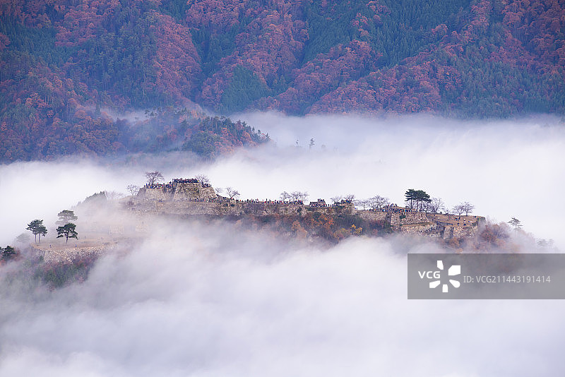 日本兵库县朝来市竹田城云海图片素材