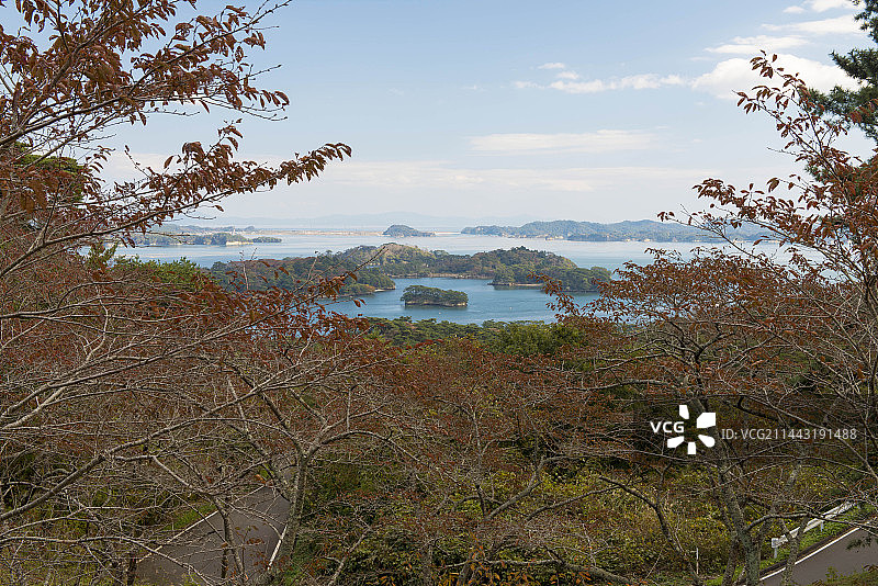 深秋时节的松岛西行归来松公园图片素材