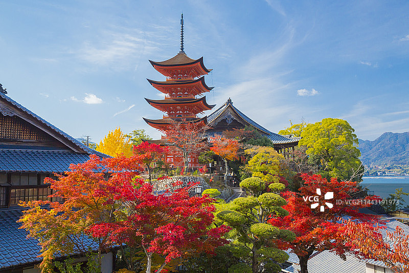 秋季的五层宝塔，日本广岛县廿日市市图片素材