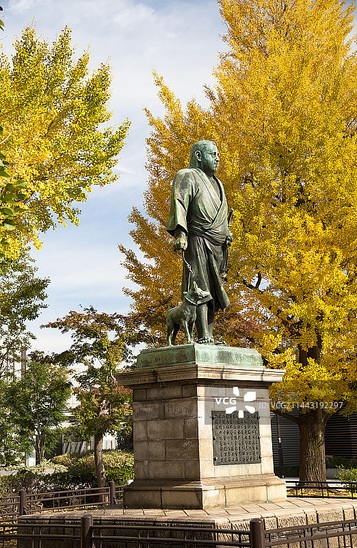 日本东京上野公园的西乡隆盛雕像和银杏树秋叶图片素材
