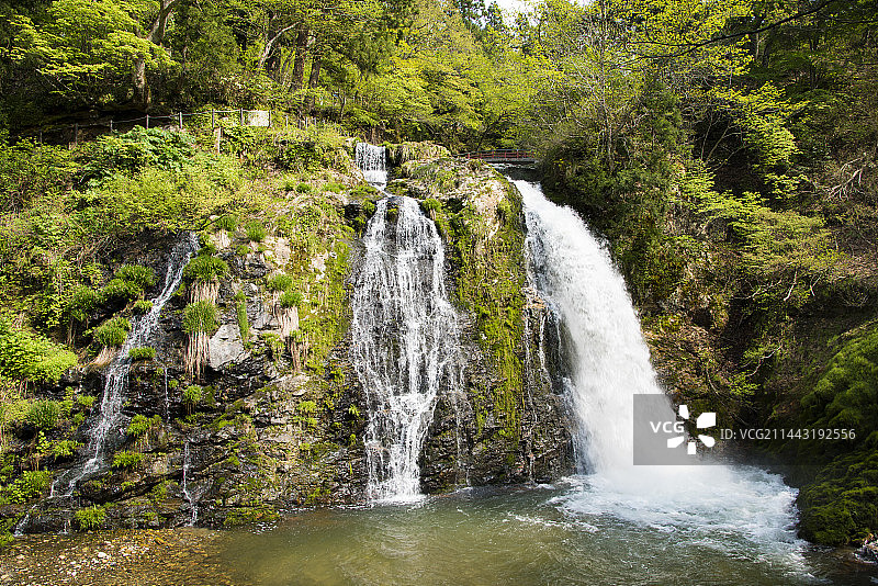 日本山形县尾花泽市白银瀑布风光图片素材