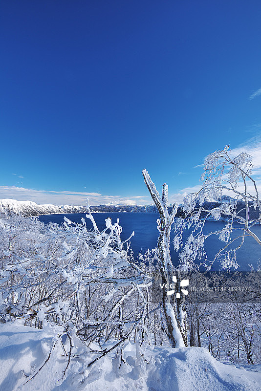 日本北海道川上郡弟子屈町摩周湖上覆盖着霜的树木图片素材