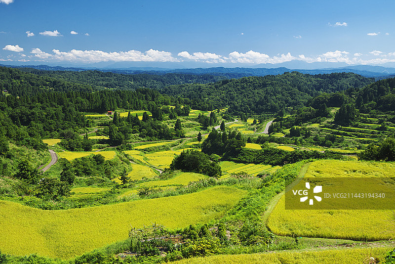 日本新泻县星峠的梯田图片素材