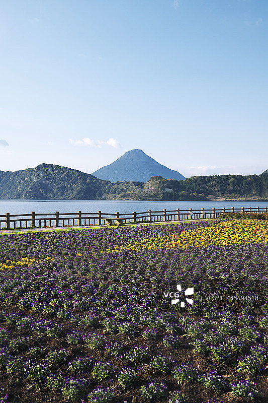 池田湖与开闻岳，日本鹿儿岛县指宿市图片素材