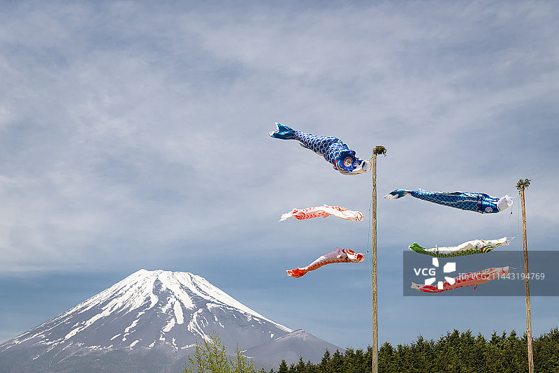 富士山与鲤鱼banner，日本静冈县富士市图片素材