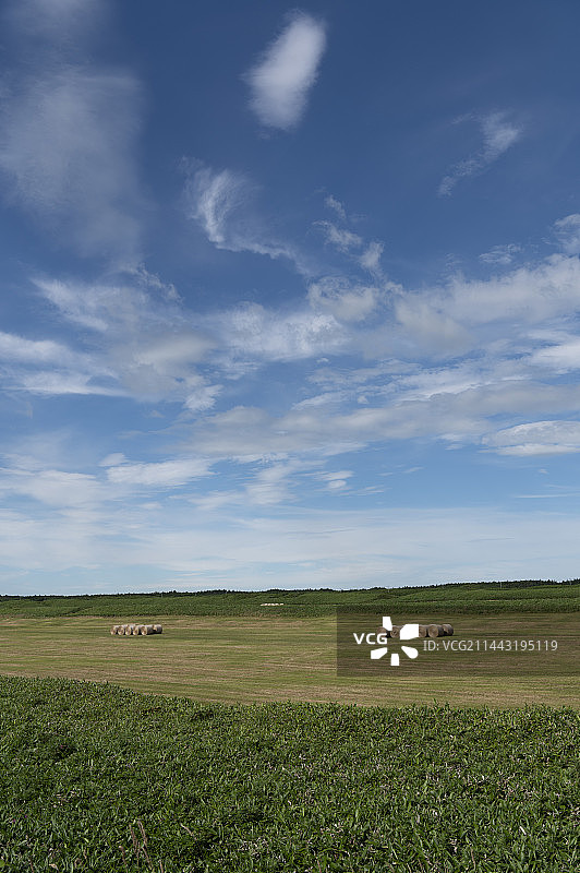 日本北海道的萨罗别茨原野图片素材