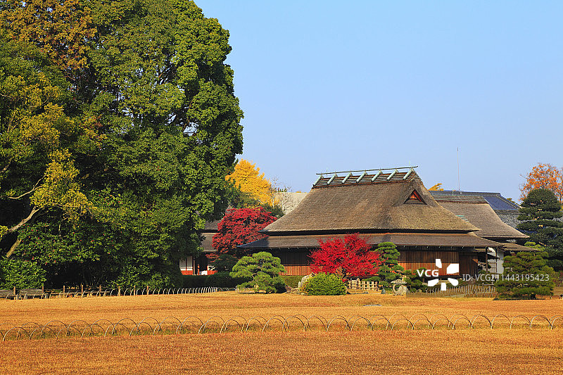 日本冈山县后乐园的秋叶图片素材
