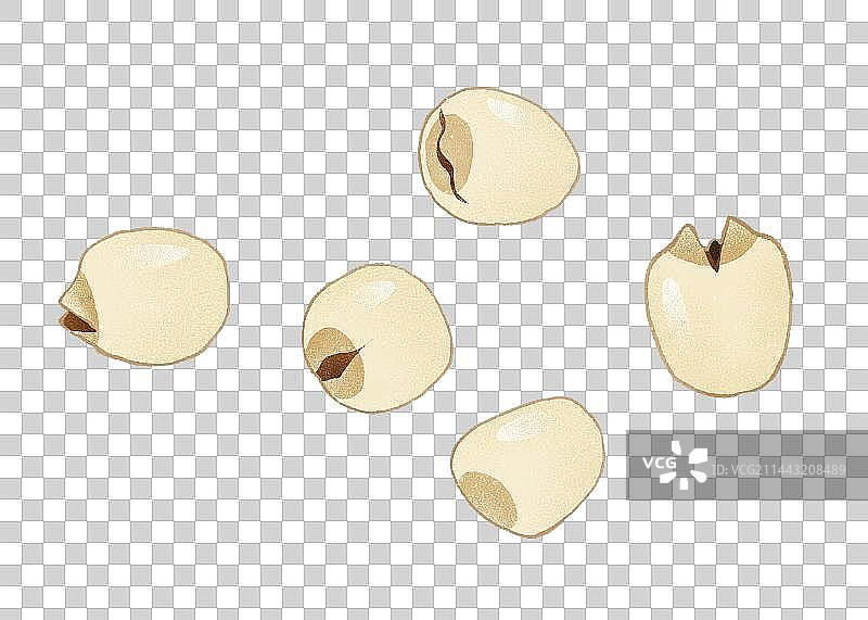 中药莲子元素图片素材
