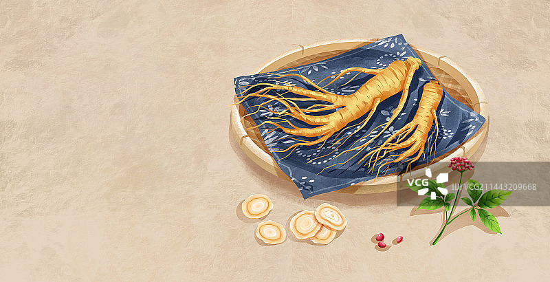 中国传统文化中草药药材之人参图片素材