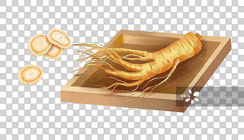 中国传统文化中草药药材之西洋参图片素材