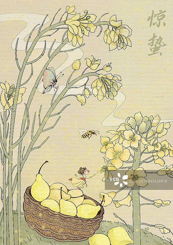 二十四节气 惊蛰图片素材