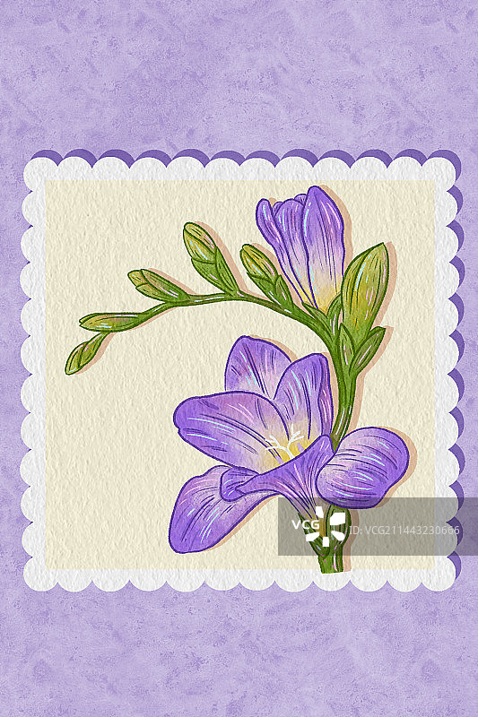 小苍兰花卉清新水彩肌理插画图片素材