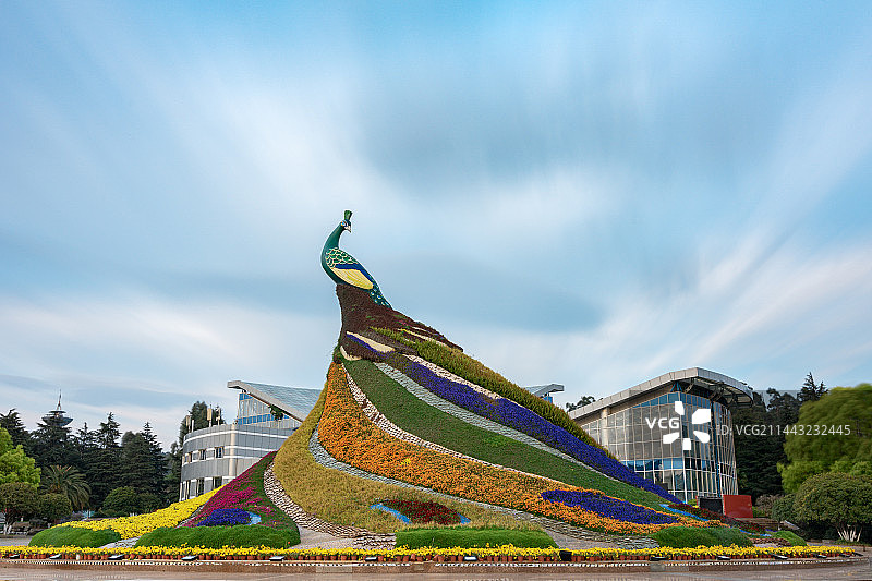 流云下的鲜花孔雀造型世博园图片素材