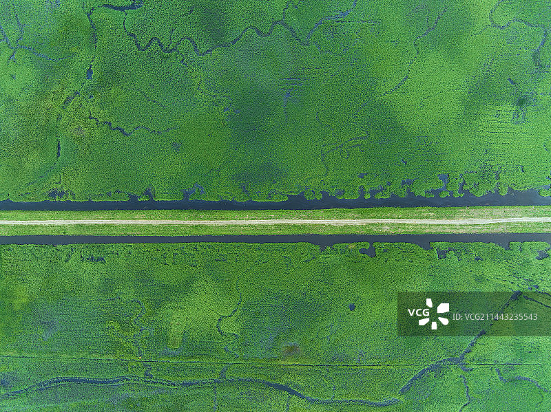 辽宁盘锦辽河入海口国家湿地公园图片素材