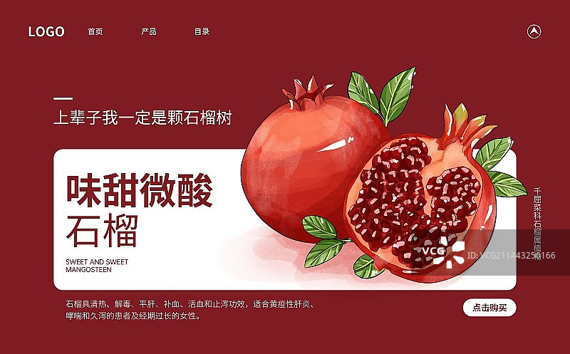 白露节气新鲜的石榴水果插画创意海报设计图片素材