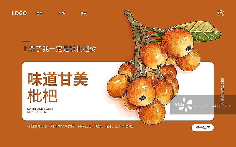 谷雨节气枇杷水果插画创意宣传海报设计模板图片素材