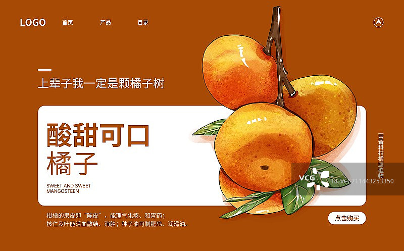 立冬节气砂糖橘水果插画创意宣传海报设计模板图片素材