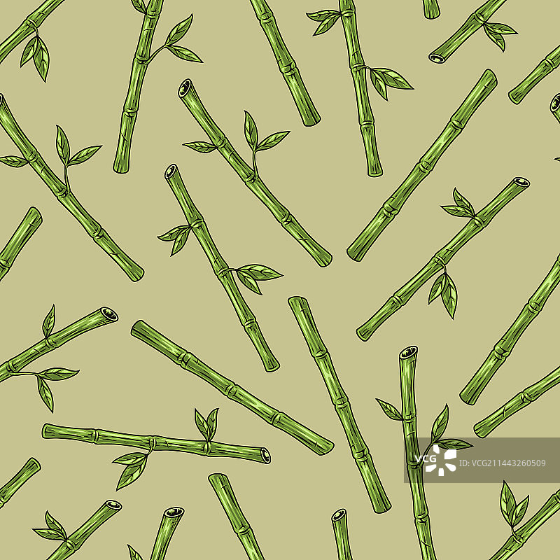 竹枝绿色无缝图案图片素材