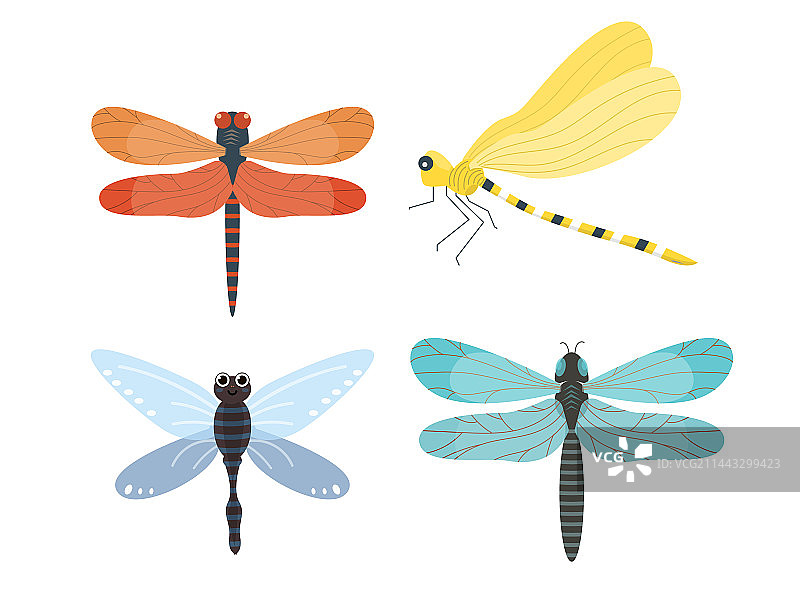 蜻蜓扁平图标合集图片素材