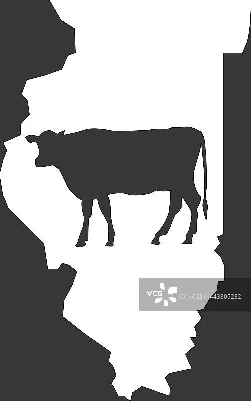 伊利诺伊州 - 奶牛图片素材
