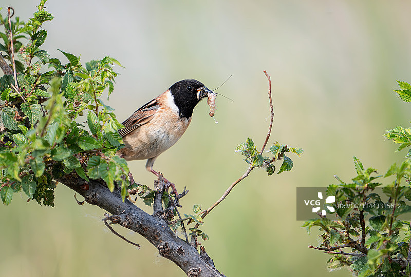 为了…图片素材