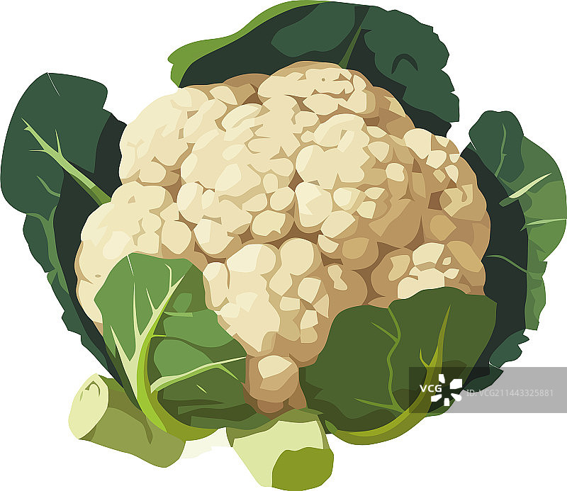 新鲜有机花椰菜健康餐图片素材